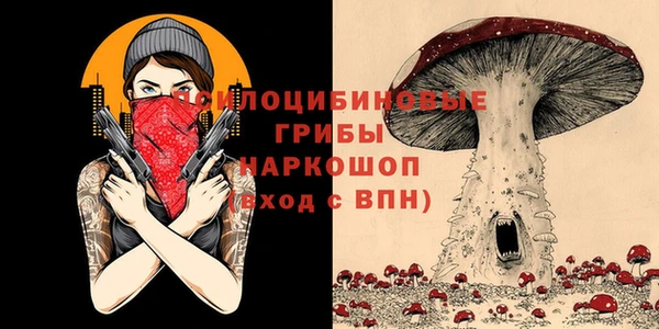 тгк Алзамай