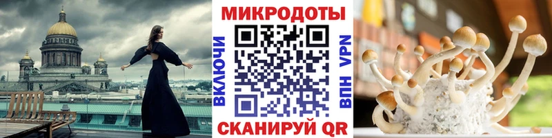 где можно купить наркотик Суджа Псилоцибиновые грибы GOLDEN TEACHER
