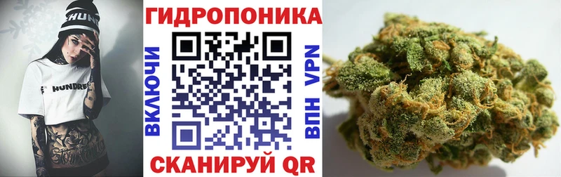 наркошоп  Суджа  площадка наркотические препараты  МАРИХУАНА сатива 